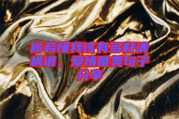 你若懂我該有多好清楓語(yǔ)，愛(ài)情唯美句子分享