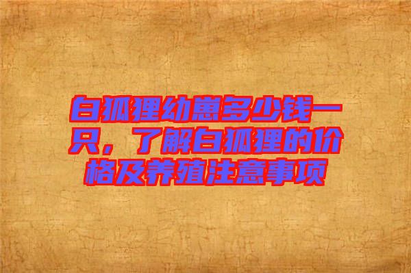 白狐貍幼崽多少錢一只，了解白狐貍的價(jià)格及養(yǎng)殖注意事項(xiàng)
