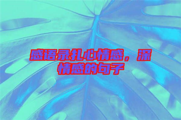 感語錄扎心情感，深情感的句子