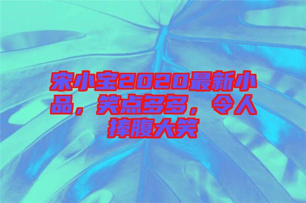 宋小寶2020最新小品，笑點多多，令人捧腹大笑