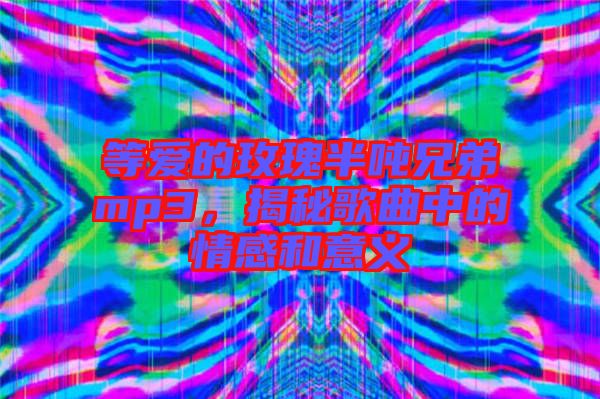 等愛的玫瑰半噸兄弟mp3，揭秘歌曲中的情感和意義