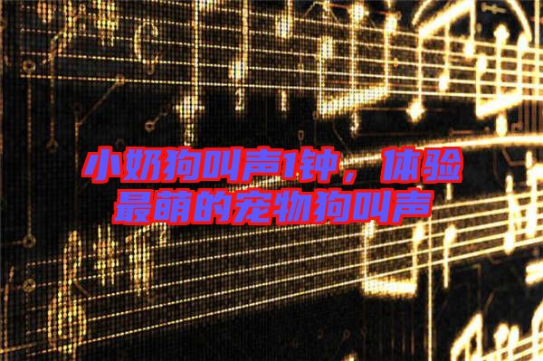 小奶狗叫聲1鐘，體驗(yàn)最萌的寵物狗叫聲