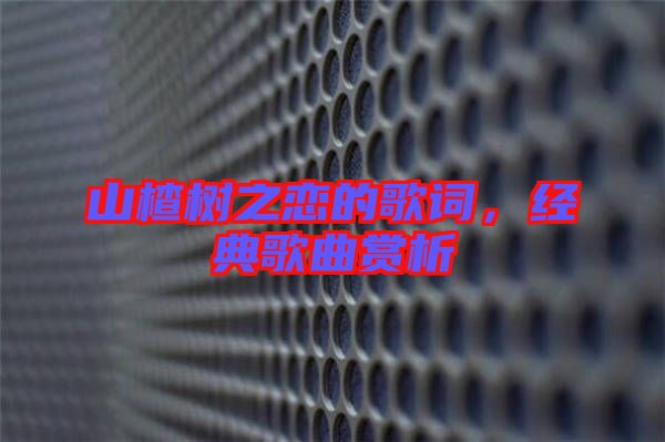 山楂樹之戀的歌詞，經(jīng)典歌曲賞析