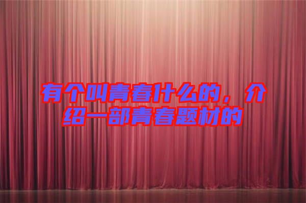 有個叫青春什么的，介紹一部青春題材的