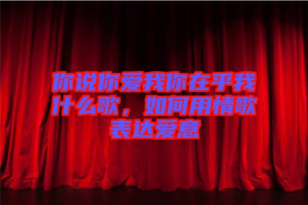 你說你愛我你在乎我什么歌，如何用情歌表達(dá)愛意