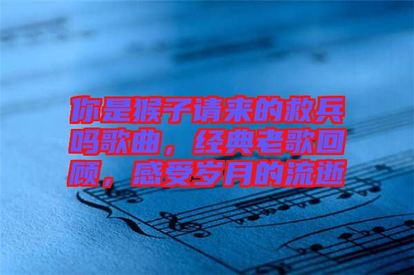 你是猴子請(qǐng)來的救兵嗎歌曲，經(jīng)典老歌回顧，感受歲月的流逝