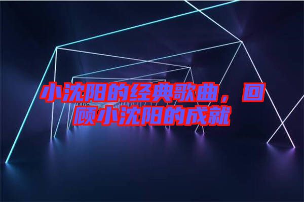 小沈陽的經(jīng)典歌曲，回顧小沈陽的成就