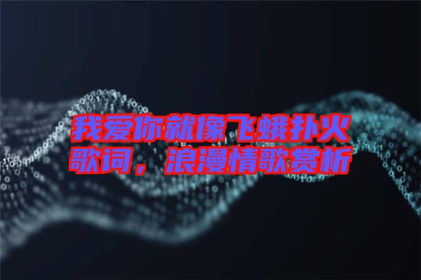 我愛你就像飛蛾撲火歌詞，浪漫情歌賞析