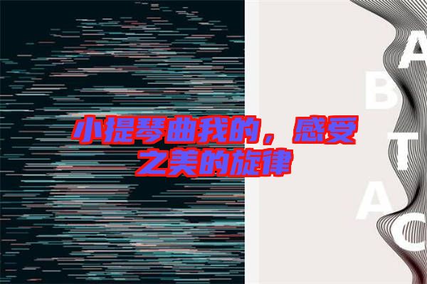 小提琴曲我的，感受之美的旋律