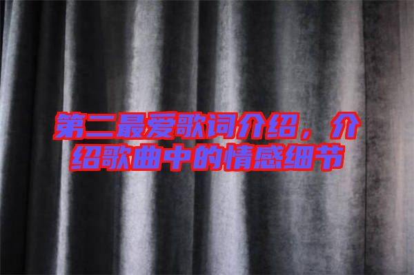 第二最愛歌詞介紹，介紹歌曲中的情感細(xì)節(jié)