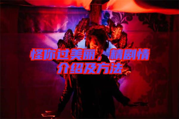 怪你過美麗，精劇情介紹及方法