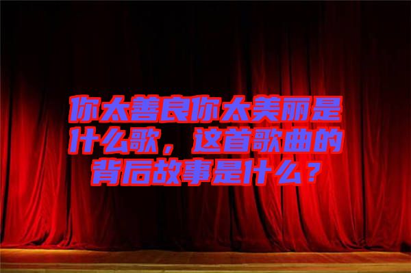 你太善良你太美麗是什么歌，這首歌曲的背后故事是什么？