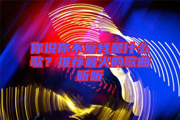 你說你不愛我是什么歌？推薦最火的歌曲聽聽