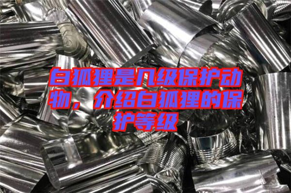 白狐貍是幾級(jí)保護(hù)動(dòng)物，介紹白狐貍的保護(hù)等級(jí)