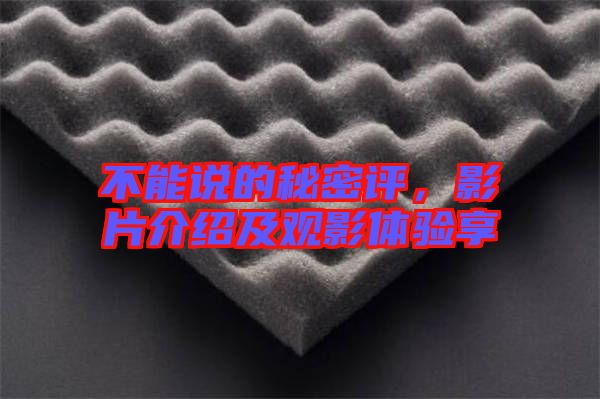 不能說(shuō)的秘密評(píng)，影片介紹及觀影體驗(yàn)享