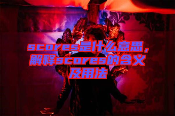 scores是什么意思，解釋scores的含義及用法