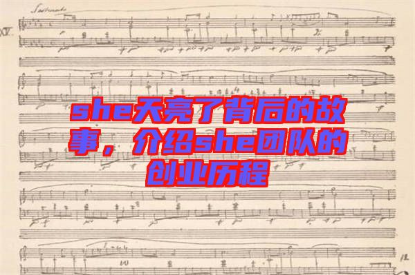 she天亮了背后的故事，介紹she團隊的創(chuàng)業(yè)歷程