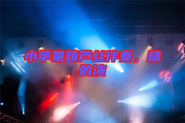 小蘋果葫蘆絲伴奏，精的演