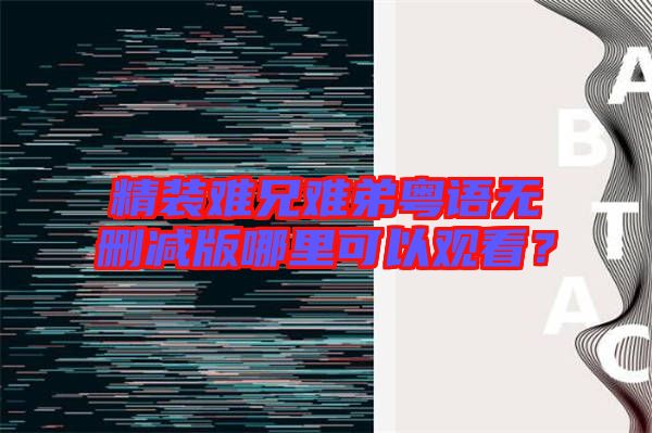 精裝難兄難弟粵語無刪減版哪里可以觀看？