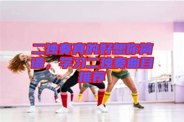 二獨(dú)奏真的好想你簡譜，學(xué)習(xí)二獨(dú)奏曲目推薦