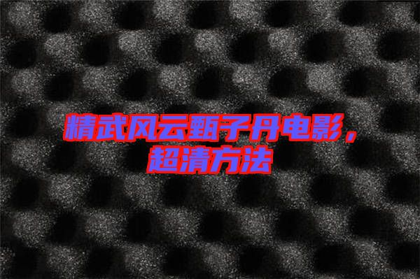 精武風云甄子丹電影，超清方法