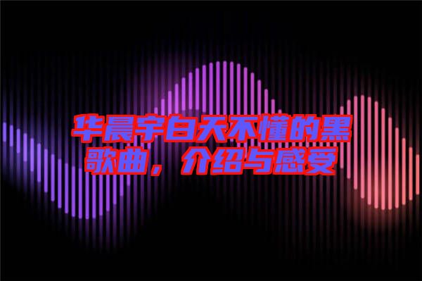 華晨宇白天不懂的黑歌曲，介紹與感受
