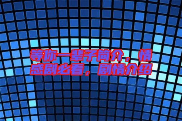 等你一輩子簡介，情感劇必看，劇情介紹