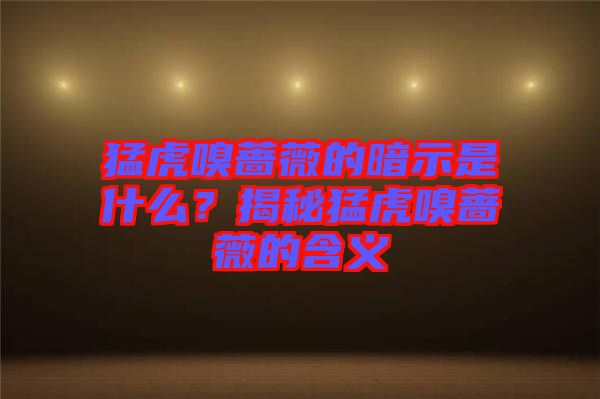 猛虎嗅薔薇的暗示是什么？揭秘猛虎嗅薔薇的含義