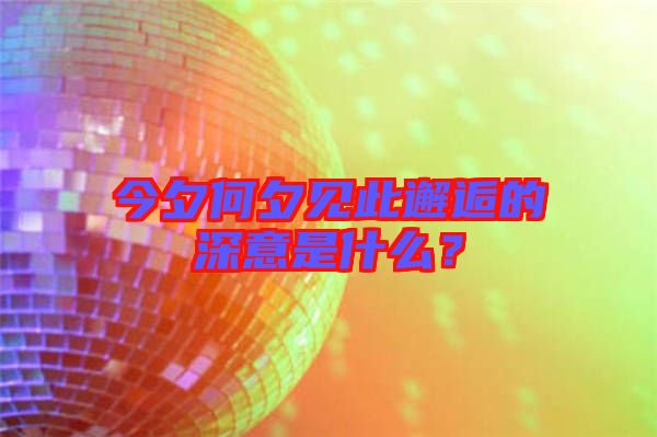 今夕何夕見此邂逅的深意是什么？