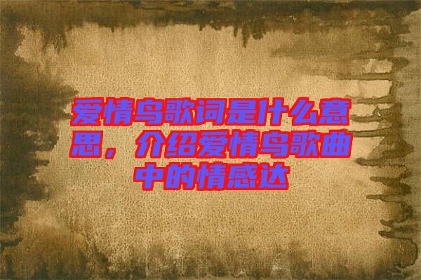 愛情鳥歌詞是什么意思，介紹愛情鳥歌曲中的情感達(dá)