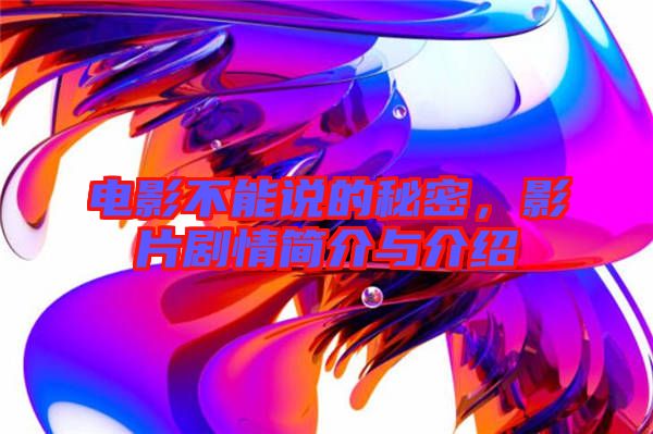 電影不能說的秘密，影片劇情簡介與介紹