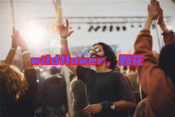 wildflower，野花