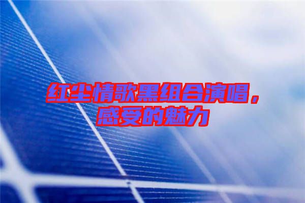 紅塵情歌黑組合演唱，感受的魅力