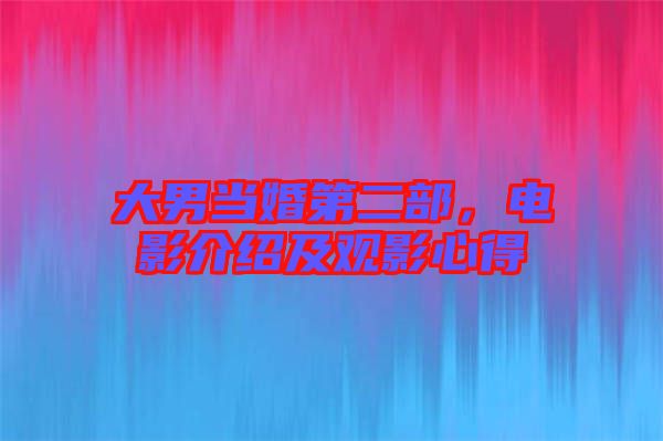 大男當(dāng)婚第二部，電影介紹及觀影心得