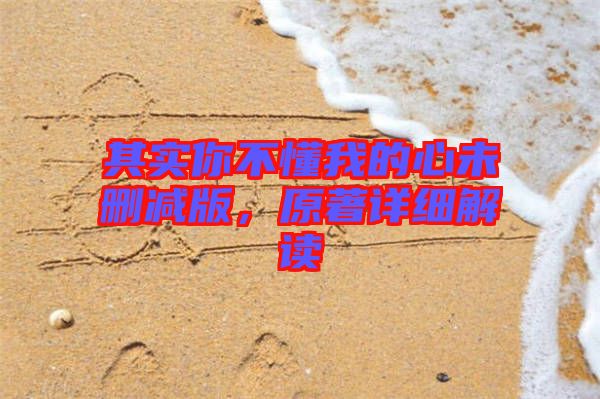 其實(shí)你不懂我的心未刪減版，原著詳細(xì)解讀