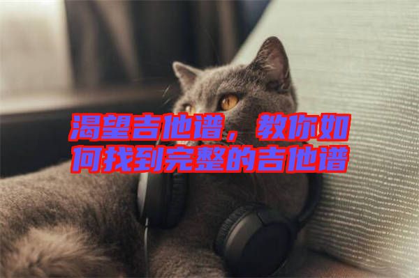 渴望吉他譜，教你如何找到完整的吉他譜