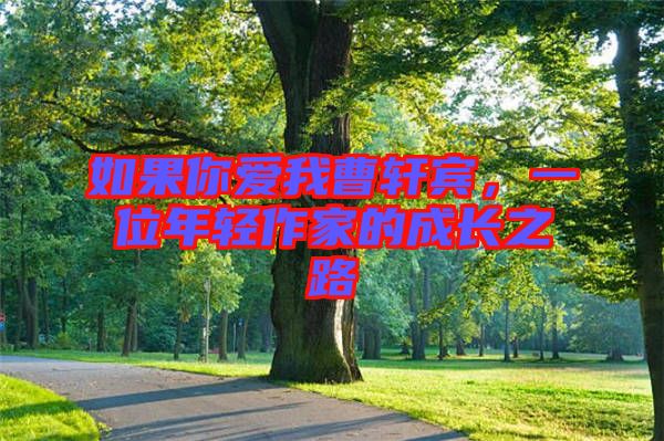 如果你愛我曹軒賓，一位年輕作家的成長之路
