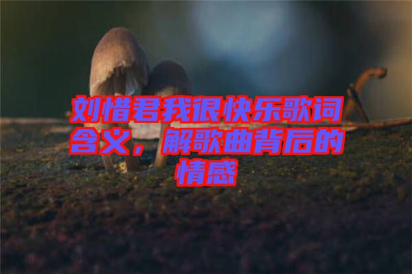 劉惜君我很快樂歌詞含義，解歌曲背后的情感