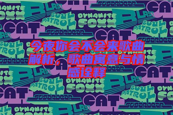 今夜你會(huì)不會(huì)來歌曲解析，歌曲寓意與情感詮釋