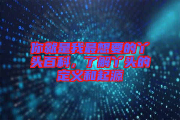 你就是我最想要的丫頭百科，了解丫頭的定義和起源