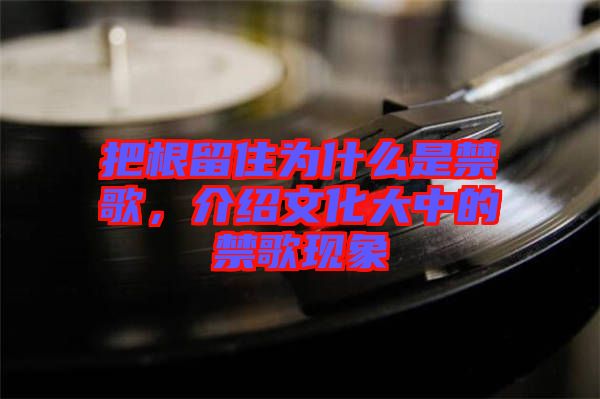 把根留住為什么是禁歌，介紹文化大中的禁歌現(xiàn)象