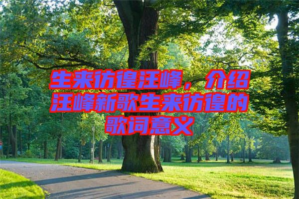 生來彷徨汪峰，介紹汪峰新歌生來彷徨的歌詞意義