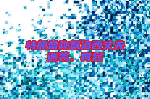 特朗普稱佩洛西丈夫遇襲，再起