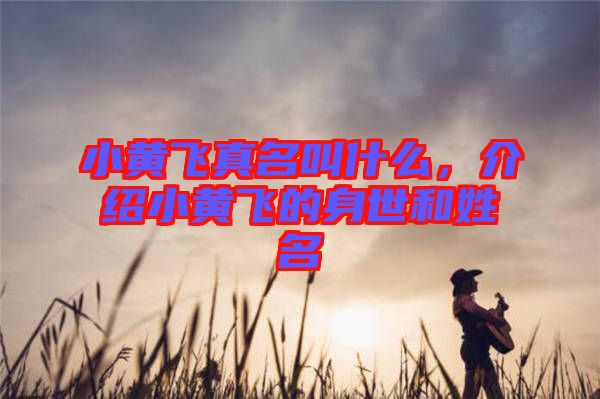 小黃飛真名叫什么，介紹小黃飛的身世和姓名