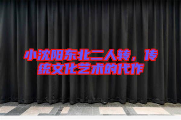 小沈陽東北二人轉(zhuǎn)，傳統(tǒng)文化藝術(shù)的代作