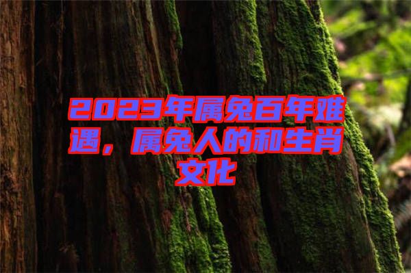 2023年屬兔百年難遇，屬兔人的和生肖文化