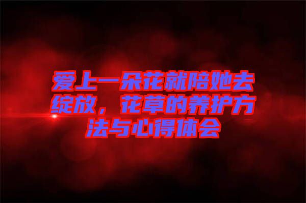 愛上一朵花就陪她去綻放，花草的養(yǎng)護(hù)方法與心得體會(huì)