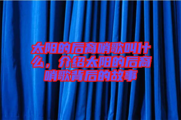 太陽的后裔哨歌叫什么，介紹太陽的后裔哨歌背后的故事