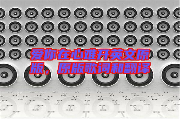 愛(ài)你在心難開(kāi)英文原版，原版歌詞和翻譯