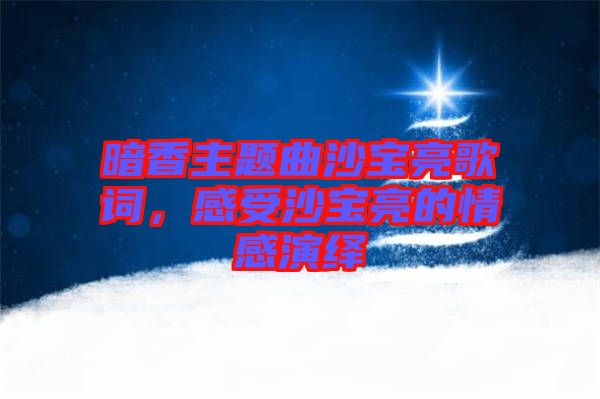 暗香主題曲沙寶亮歌詞，感受沙寶亮的情感演繹